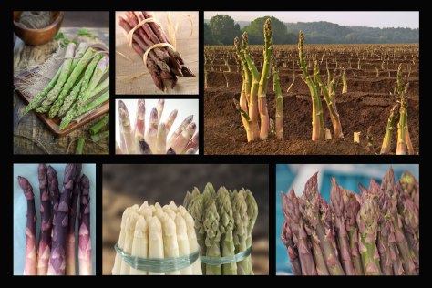asparagi-colori-fotoartestile